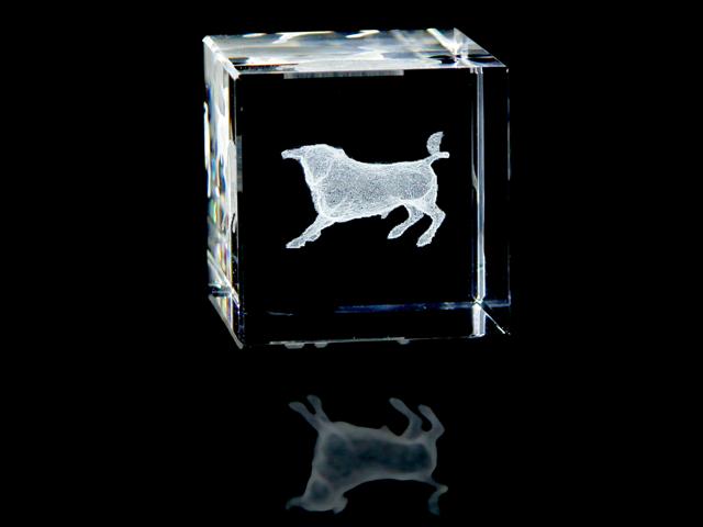 Crystal Bull