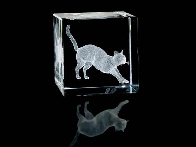 Crystal Cat
