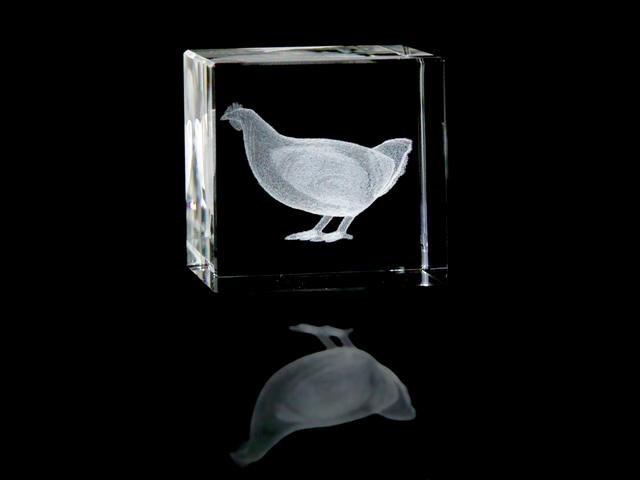 Crystal Hen
