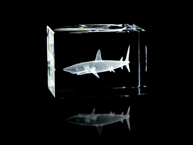 Shark