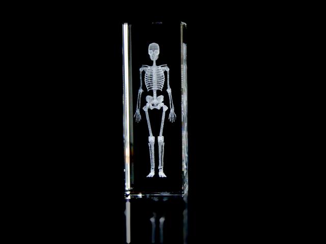Crystal Skeleton