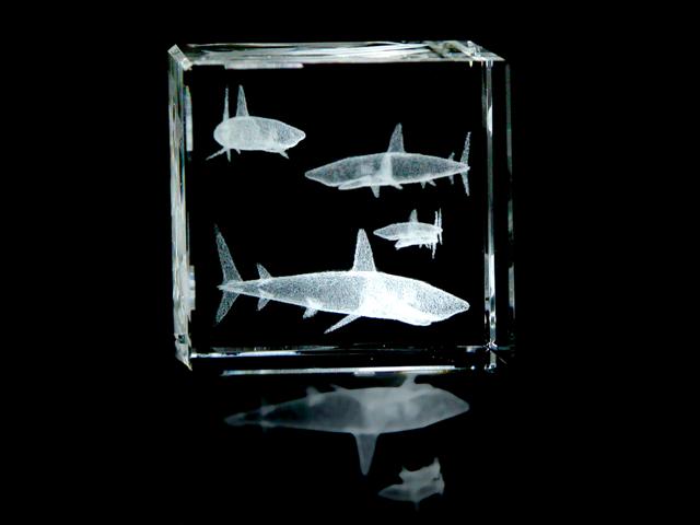 Crystal Sharks
