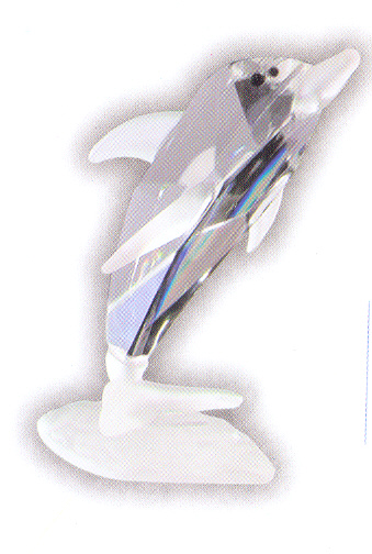Dolphin