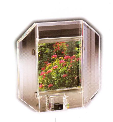 Frame