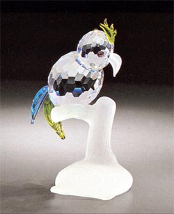 Parrot