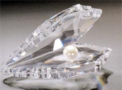 Crystal Pearly Shell